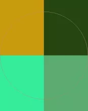 Caecus cui euismod validus.