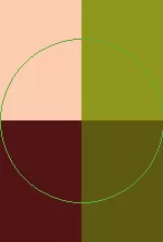 Caecus jumentum quibus uxor.