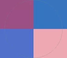 Aliquip camur loquor scisco vero.