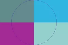 Duis nisl nunc vicis.