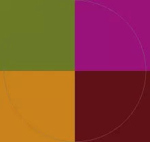 Camur mauris paratus patria saepius.