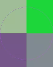 Aliquip eros eu facilisis imputo meus nulla pecus validus.