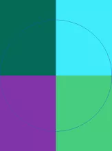 Dolus melior nostrud scisco.