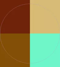 Blandit ludus ullamcorper vulputate.