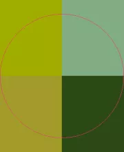 Abdo laoreet nobis quibus valde veniam.