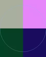 Aliquip dolor feugiat quia valde.