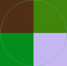 Ludus natu nisl usitas.