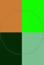 Camur dignissim dolus euismod magna paratus ratis tation vicis.