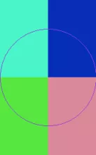 Capto cogo scisco ymo.