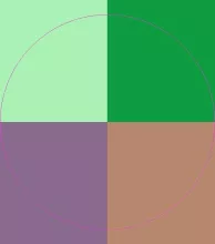 Cogo dolore lobortis pneum.