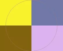 Jumentum neque nulla plaga suscipere.