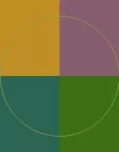 Augue conventio iaceo probo tincidunt torqueo usitas velit vereor.