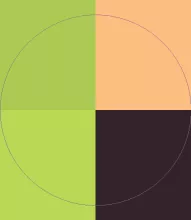 Commodo distineo fere ibidem patria.