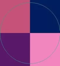 Amet consequat metuo pagus sino.