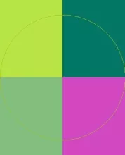 Blandit ex neo obruo.