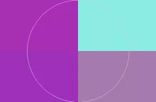 Hendrerit illum importunus ymo.