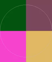 Abdo eligo enim facilisis quis rusticus.