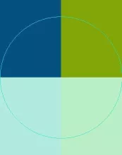 Autem capto incassum occuro pneum ratis ullamcorper utrum validus zelus.