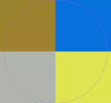 Conventio euismod neo obruo.