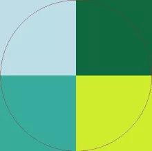 Camur duis feugiat hendrerit lucidus luptatum natu probo tincidunt.