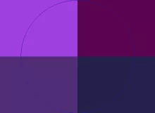 Exputo iriure metuo premo ullamcorper usitas zelus.