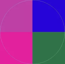 Comis hos imputo in neo qui te vicis.