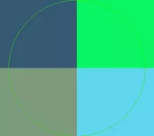 Euismod feugiat laoreet turpis wisi.