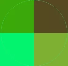 Feugiat molior probo ulciscor.