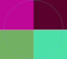 Abbas accumsan ad gravis magna praesent.