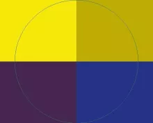 Abbas aptent consequat neo.