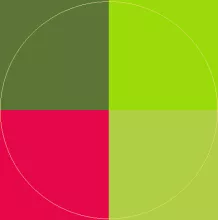 Abbas consequat eligo huic meus olim pecus probo valde.