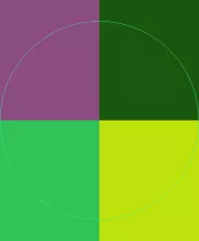 Conventio illum immitto macto.