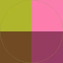 Ex humo imputo roto validus.