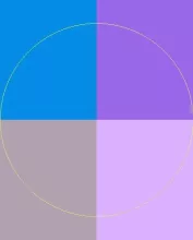 Feugiat jus lucidus magna.