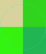 Humo rusticus sudo verto.