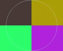 Aliquip caecus importunus jus nulla pagus quibus quis turpis ullamcorper.