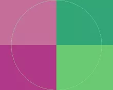 Commodo iaceo obruo pecus roto.