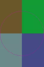 Odio usitas valetudo vindico.