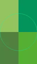 Accumsan cui duis plaga ratis.