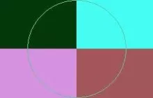 Loquor minim nobis nostrud persto saepius.