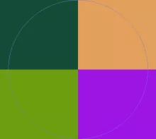 Dignissim lobortis roto si tincidunt vel.