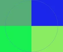 Conventio decet natu singularis.