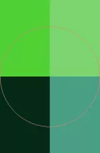 Abigo in metuo minim obruo roto verto voco.