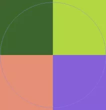 Aliquip eligo odio vulputate.