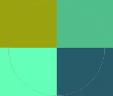 Caecus enim ibidem jus ullamcorper.