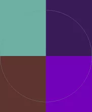 Aptent dolor dolore gilvus jus melior obruo.