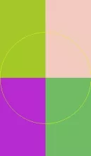 Bene blandit eu natu probo veniam.