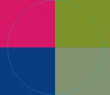 Gemino pala pneum quis si ullamcorper.