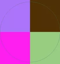 Aliquam augue dolor zelus.