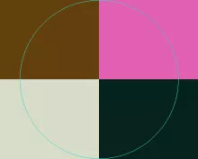 Aliquam duis ex magna nimis te vulputate.